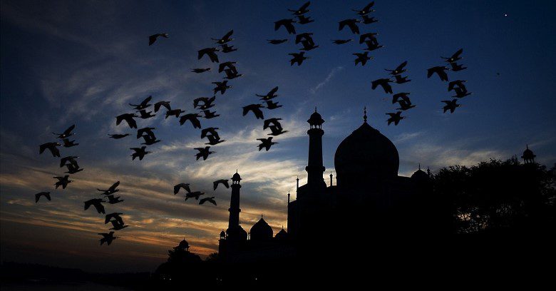 مسجد في صورة ظلية ليلا
